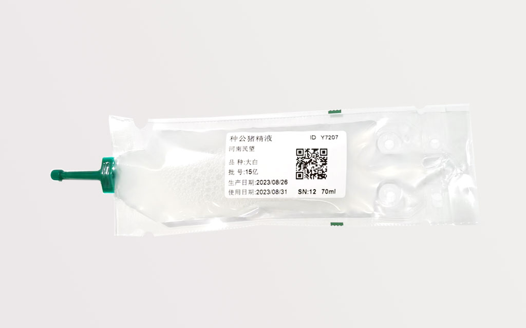 種母豬（大白、長(zhǎng)白）